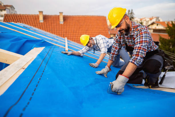 Best Roof Repair Services  in Caldwell, OH