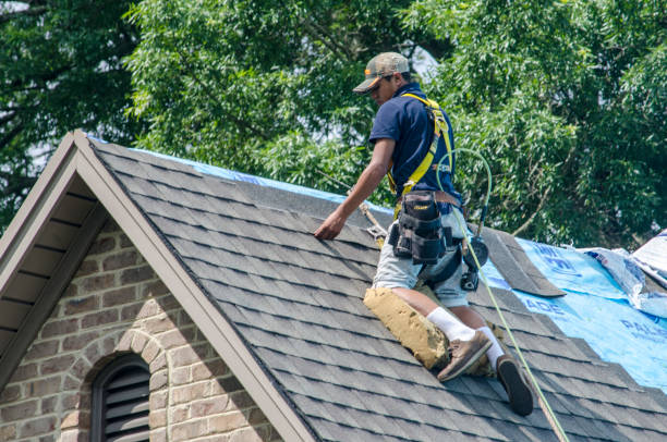 Professional Roofing Contractor in Caldwell, OH